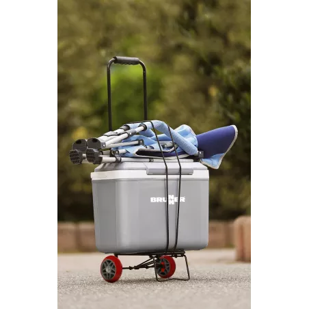 Carrello Pick Up