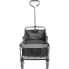 Carrello Cargo Linx