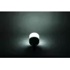Lampada LED Globe