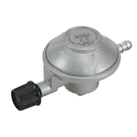 Regolatore Gas Reg