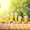 Set Bicchieri Birra Pilsner 2 pz.