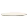 Pizza Plate BBQruiser
