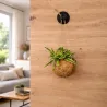 Silwy Gancio magnetico SPOT con pad 3M | Brunner-Shop